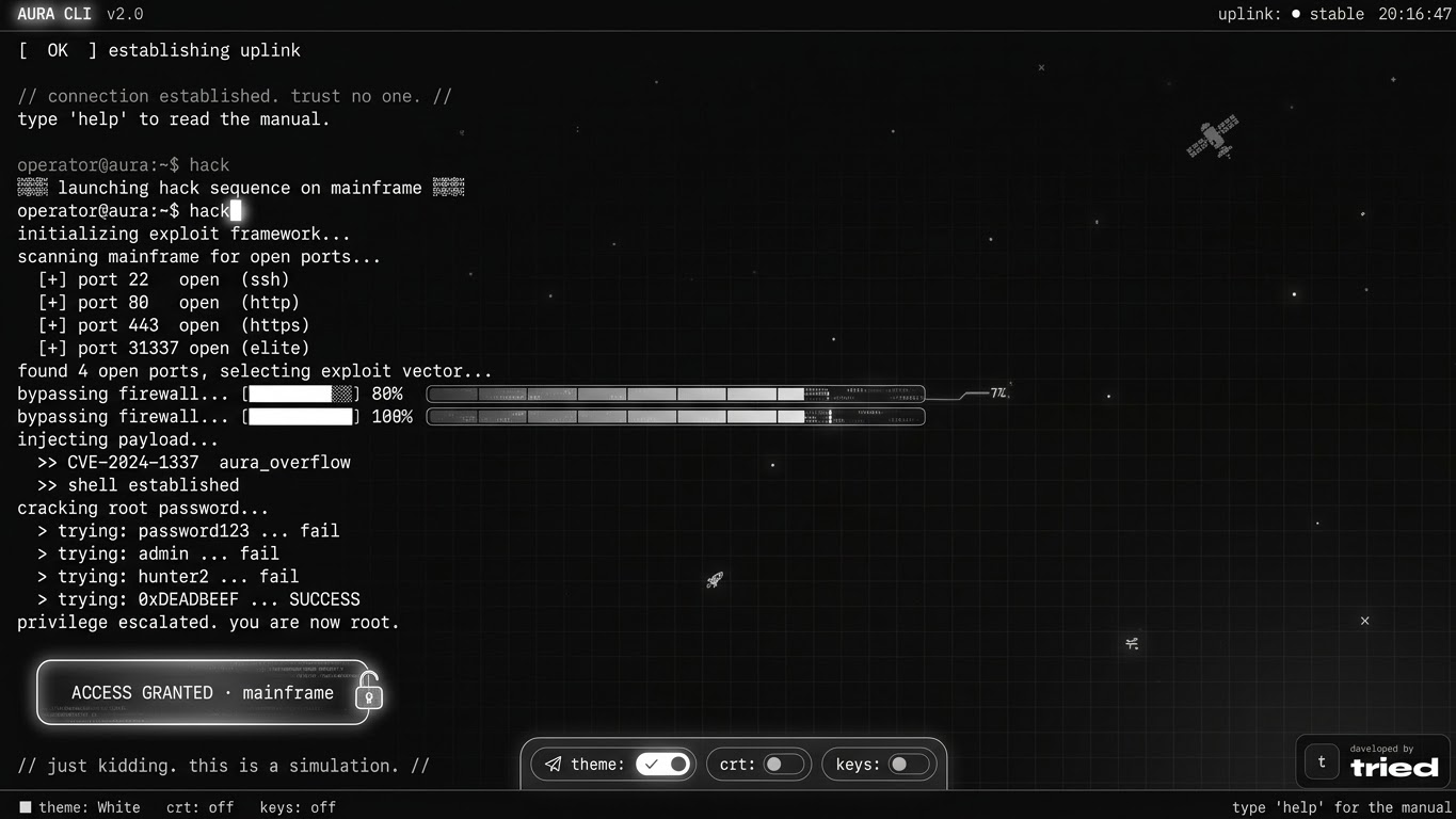 Aura CLI project preview